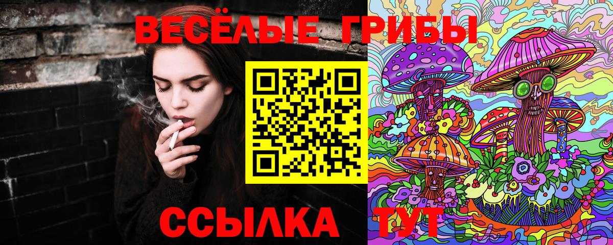 Галлюциногенные грибы GOLDEN TEACHER  Вход с VPN  Люберцы  Псилоцибиновые грибы ЛСД 